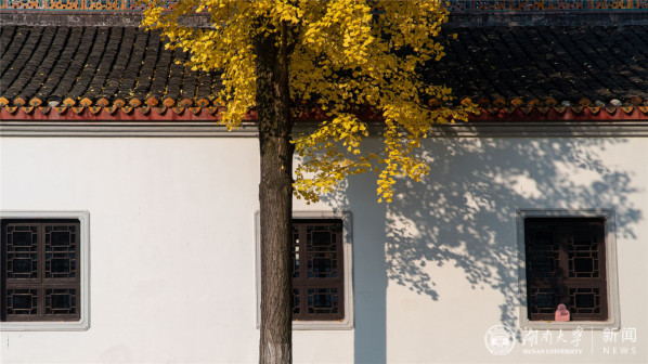 湖南大学风景图