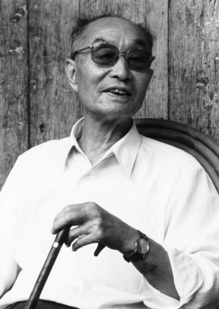张爱萍将军