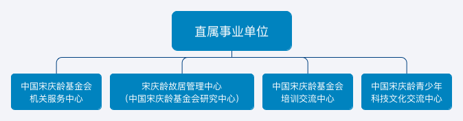 中国宋庆龄基金会直属单位