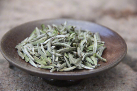 福鼎白茶
