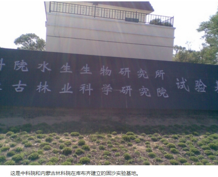 库布齐沙漠