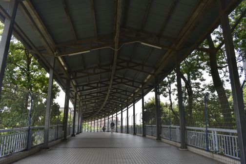 广州市华南理工大学（大学城校区）