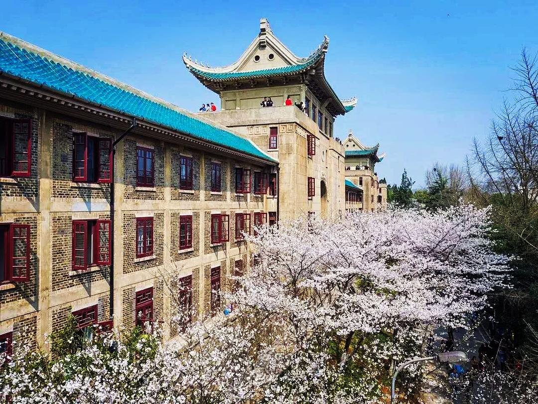 樱顶