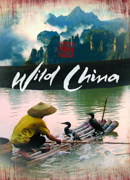 《美丽中国》