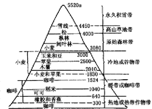 图2 安第斯山（赤道区）垂直气候带
