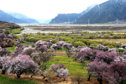 林芝市风光