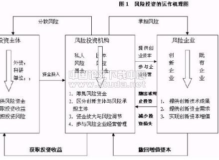 风险企业