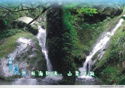 雪峰山省级森林公园