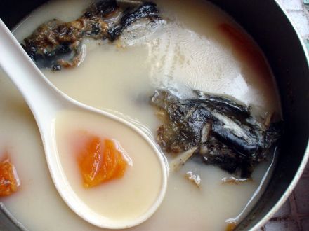 鱼汤