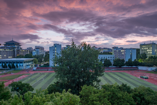 南京农业大学