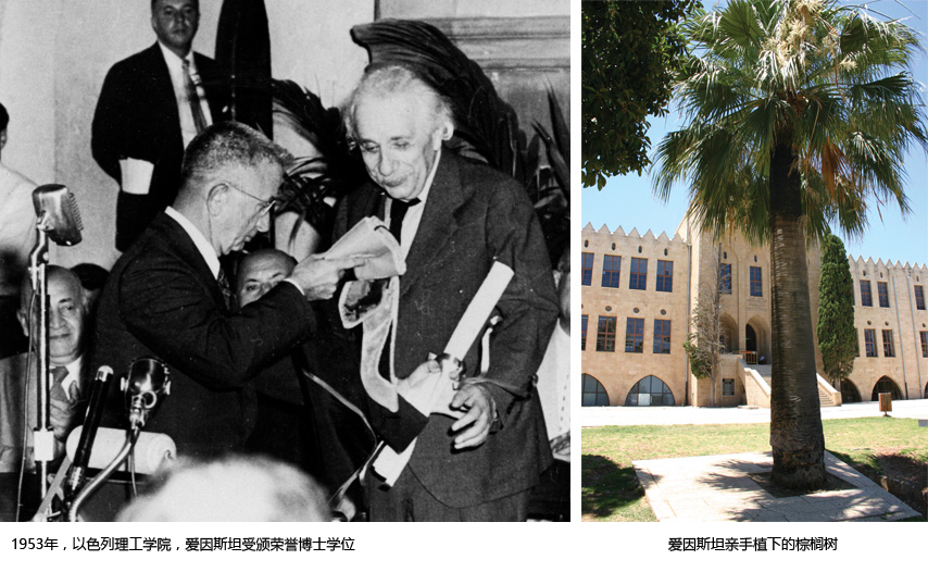 1923年，爱因斯坦在以色列理工学院亲手种下第一颗棕榈树