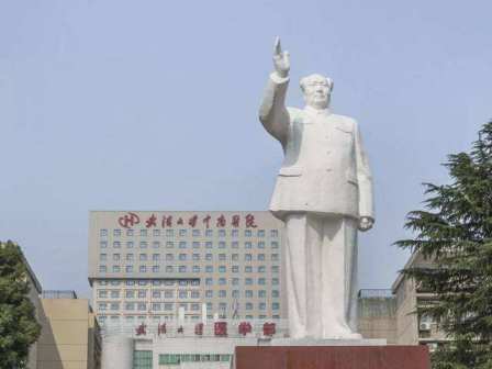 医学部