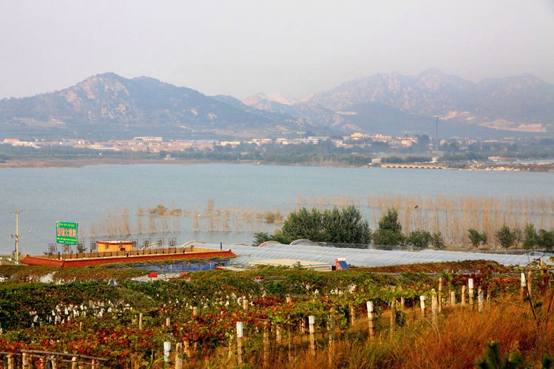 大泽山地理