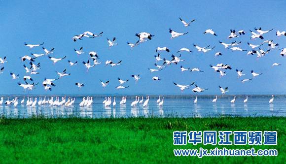 九江景点