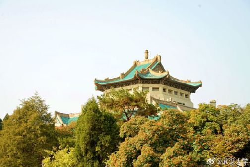 校园环境