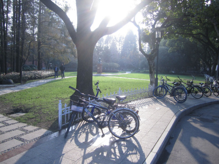 复旦大学