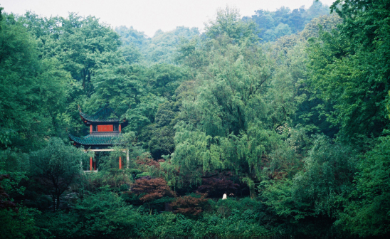 校园风景