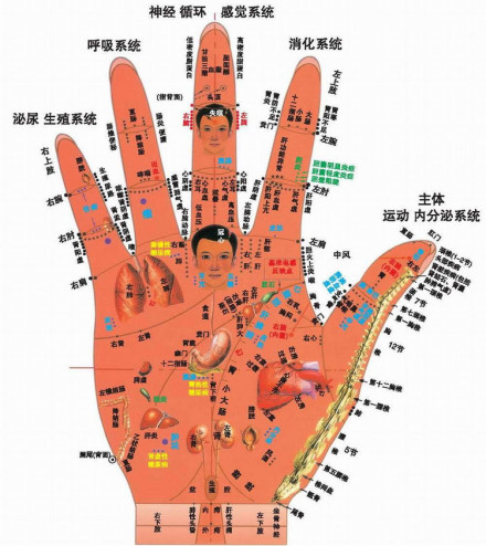 手掌上穴位图解