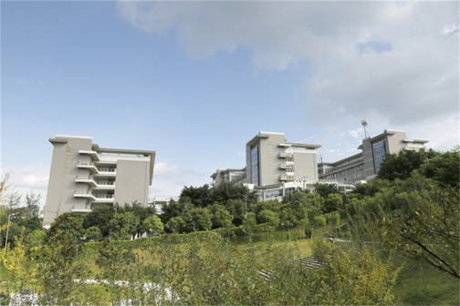 教学楼群