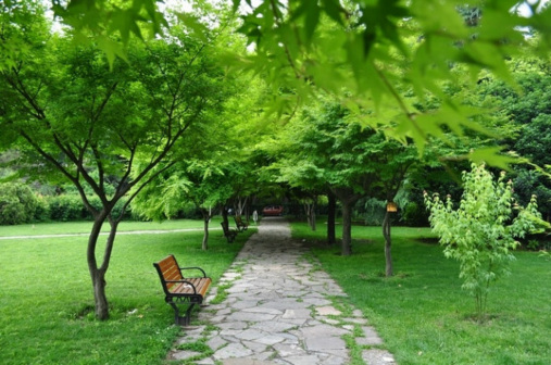 西安交通大学
