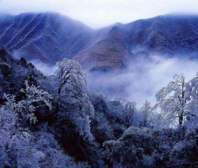 雪中金童山