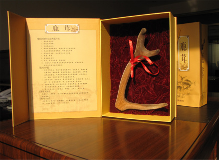 鹿茸