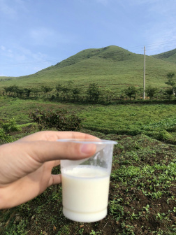 南山手工鲜奶