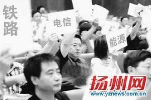 中国的垄断企业