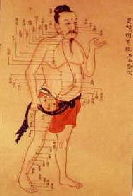 中医穴道图表