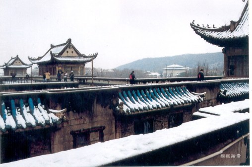 武大美景
