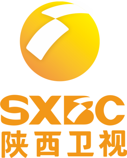 陕西卫视台标
