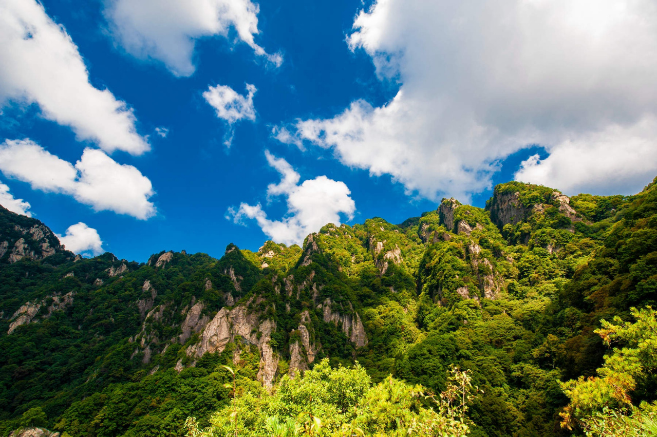 王顺山