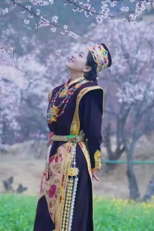 林芝市非遗服饰