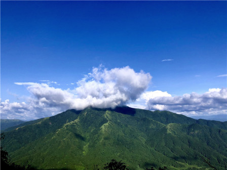 湖南南山国家公园景色