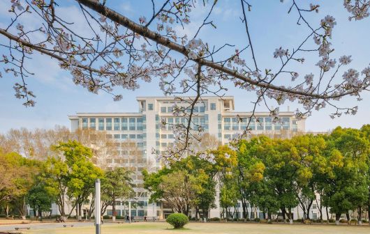 华中师范大学樱花