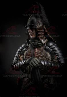 中国武士