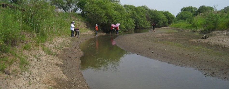 七台河市倭肯河桃山湖国家湿地公园一段