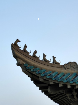 校园环境