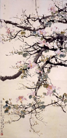 《紫荆花》