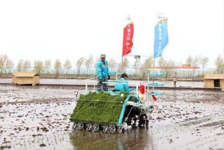 卫国乡田地劳作场景