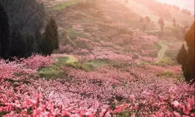 龙门山森林公园