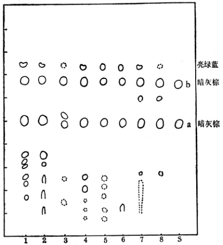黄芩薄层层析图谱