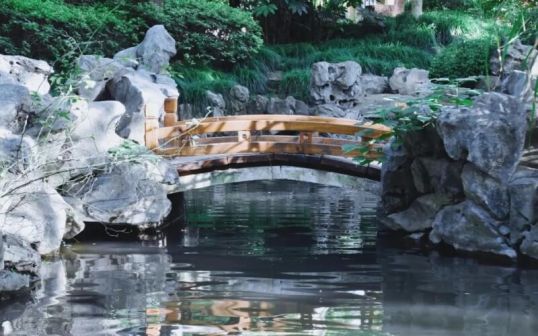 复旦大学
