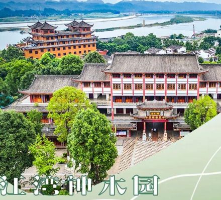 江湾神木园