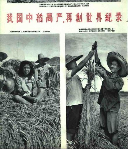 第二个五年计划