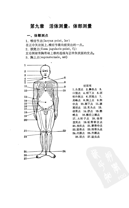 体部测点 