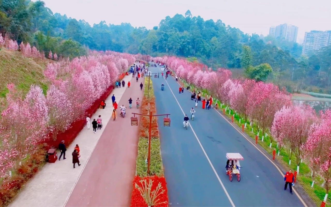 嘉州绿心公园春景