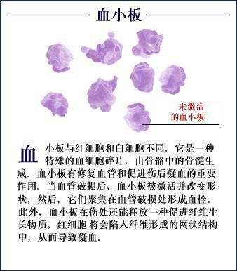 血小板
