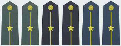 陆海空军少尉常服肩章(2007—)