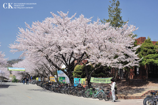 KAIST